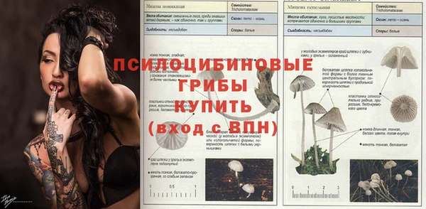 мескалин Нефтекумск
