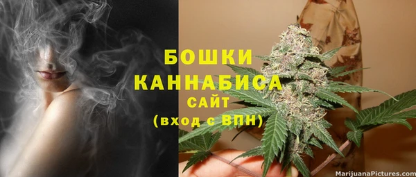 винт Нея